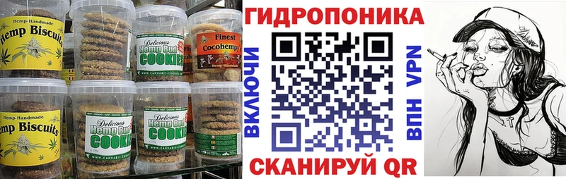 продажа наркотиков  Злынка  Cannafood конопля 