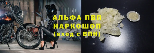 крисы Аша