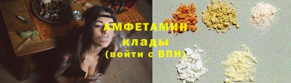 крисы Аша