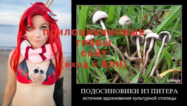 крисы Аша