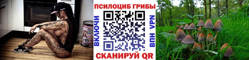 Псилоцибиновые грибы GOLDEN TEACHER  Злынка 